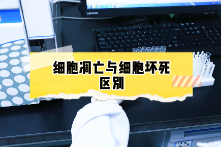 细胞凋亡和细胞坏死有什么区别？详细讲讲