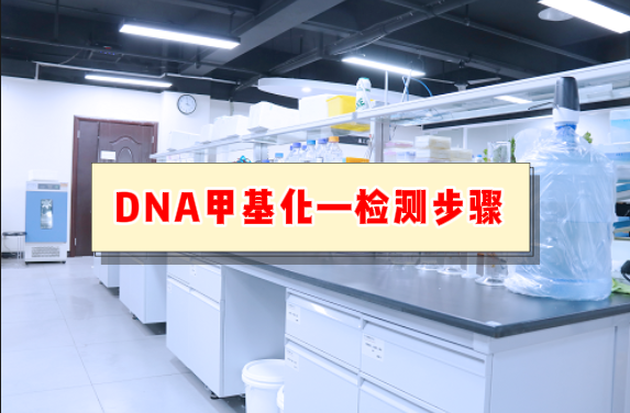 DNA甲基化实验操作步骤