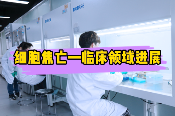 细胞焦亡在临床各领域的研究现状【附视频教程】